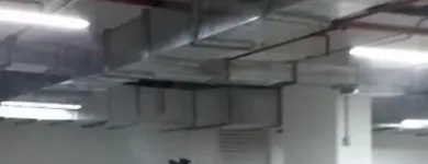 La imagen 3 de la Empresa FUMIGAR Fumigadores aéreos en Floridablanca SAN