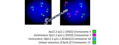 La imagen 1 de la Empresa GENÉTICA LAB S.A.S. Oncología en Medellín ANT