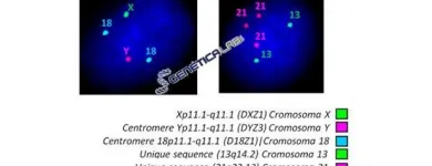 La imagen 2 de la Empresa GENÉTICA LAB S.A.S. Oncología en Medellín ANT