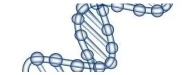 La imagen 4 de la Empresa GENÉTICA LAB S.A.S. Oncología en Medellín ANT