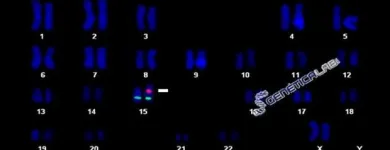 La imagen 7 de la Empresa GENÉTICA LAB S.A.S. Oncología en Medellín ANT