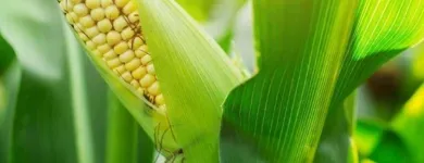La imagen 2 de la Empresa GEPROTICOLSA S.A Servicios agrícolas en Barranquilla ATL