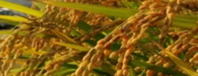 La imagen 3 de la Empresa GEPROTICOLSA S.A Servicios agrícolas en Barranquilla ATL