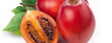 La imagen 5 de la Empresa GEPROTICOLSA S.A Servicios agrícolas en Barranquilla ATL