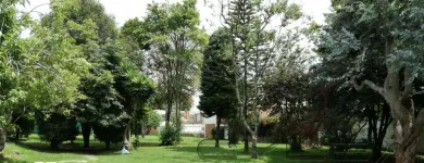 La imagen 8 de la Empresa HOGAR GERONTOLOGICO SUEÑOS DORADOS en Bogota DC