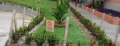 La imagen 2 de la Empresa JARDINERÍA PARAÍSOS Viveros en Cali VAC