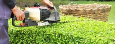La imagen 2 de la Empresa JARDINES HABITAT MANTENIMIENTO Servicio de diseño arquitectónico en Cali VAC