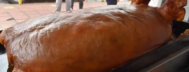 La imagen 2 de la Empresa LECHONERIA LA REINA DEL TOLIMA Restaurante de comida rápida en Bogotá, D.c. DC