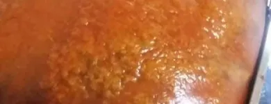 La imagen 3 de la Empresa LECHONERÍA TOLIMENSE BAJO CERO Restaurante de comida rápida en Ibagué TOL