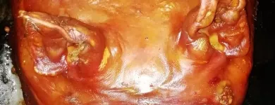 La imagen 5 de la Empresa LECHONERÍA TOLIMENSE BAJO CERO Restaurante de comida rápida en Ibagué TOL