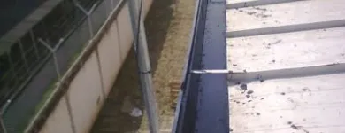 La imagen 11 de la Empresa LEMOS SAS en Cali VAC