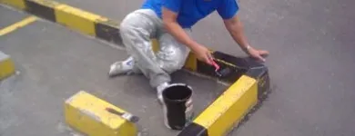 La imagen 20 de la Empresa LEMOS SAS en Cali VAC