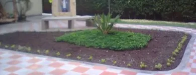 La imagen 29 de la Empresa LEMOS SAS en Cali VAC