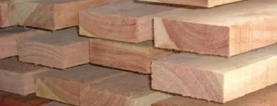 La imagen 3 de la Empresa MADERAS PROFORCA Proveedor de madera en Ibagué TOL