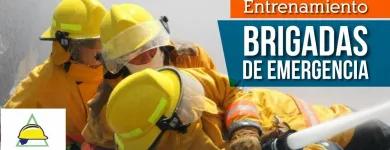 La imagen 8 de la Empresa MEDINA SST EMPRESARIAL S.A.S en Bogota DC