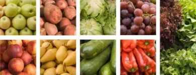 La imagen 4 de la Empresa ORGANIC BAS DE COLOMBIA S.A.S Veterinario en Cali VAC