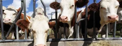 La imagen 5 de la Empresa ORGANIC BAS DE COLOMBIA S.A.S Veterinario en Cali VAC