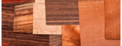 La imagen 5 de la Empresa RESINAS Y MADERAS DE COLOMBIA TOMÁS PICHÓN S.A.S Proveedor de madera en Barranquilla ATL