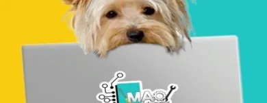 La imagen 11 de la Empresa SOPORTE TÉCNICO, COMPUTADORES Y PORTATILES-AMPLIMAX ELSYS Tienda de teléfonos móviles en Ibagué TOL