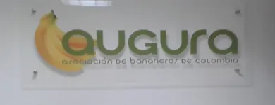 La imagen 3 de la Empresa TREELIFE DESIGN en Sabaneta ANT