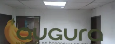 La imagen 9 de la Empresa TREELIFE DESIGN en Sabaneta ANT