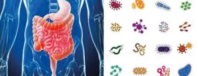 La imagen 2 de la Empresa UGANEP S A S Laboratorio de análisis clínicos en Bucaramanga SAN