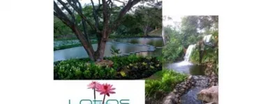 La imagen 5 de la Empresa VIVERO LOTOS S.A.S Viveros en Cali VAC