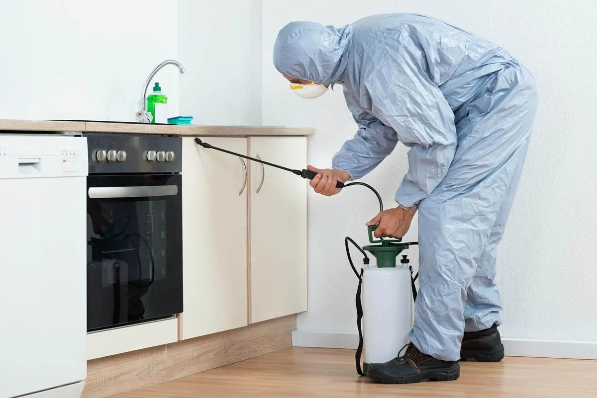 La imagen 1 de la Empresa ERRADICAR FUMIGACIONES PROFESIONALES