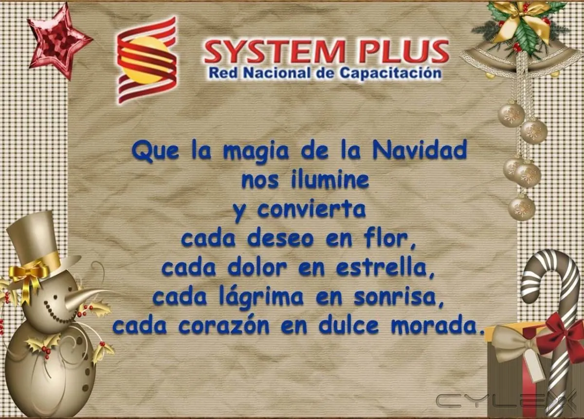 La imagen 2 de la Empresa SYSTEM PLUS