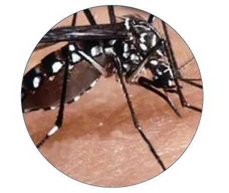 La imagen 3 de la Empresa PESTS CLEANING
