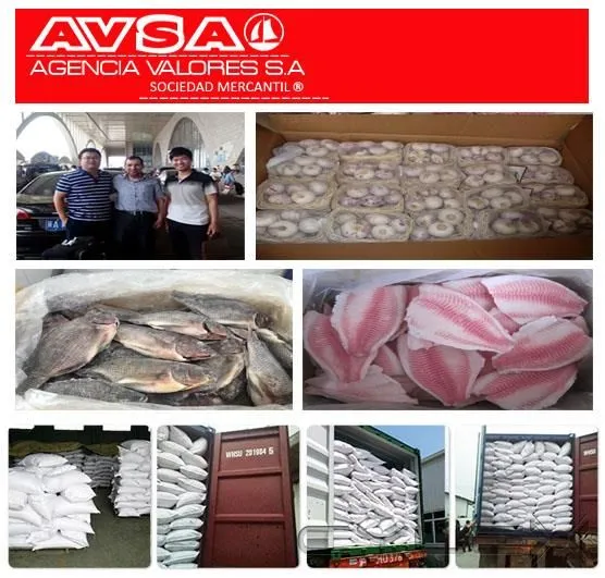 La imagen 1 de la Empresa AVSA AGENCIA VALORES S.A