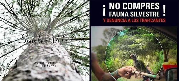 La imagen 4 de la Empresa GAIA SERVICIOS AMBIENTALES S.A.S