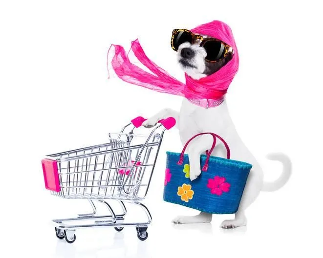 La imagen 5 de la Empresa TIENDA DE MASCOTAS ANIMAL'S HOME