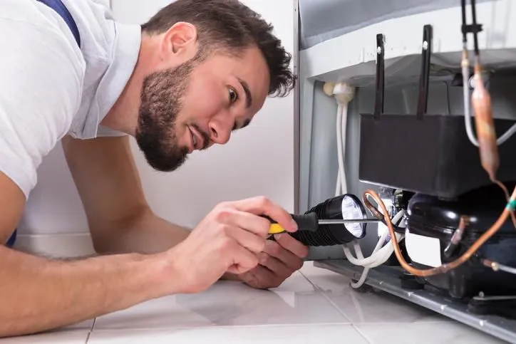 La imagen 2 de la Empresa SERVICIO TÉCNICO A DOMICILIO MULTISERVICIOS