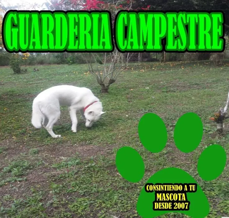 La imagen 1 de la Empresa ANIMALEJOS