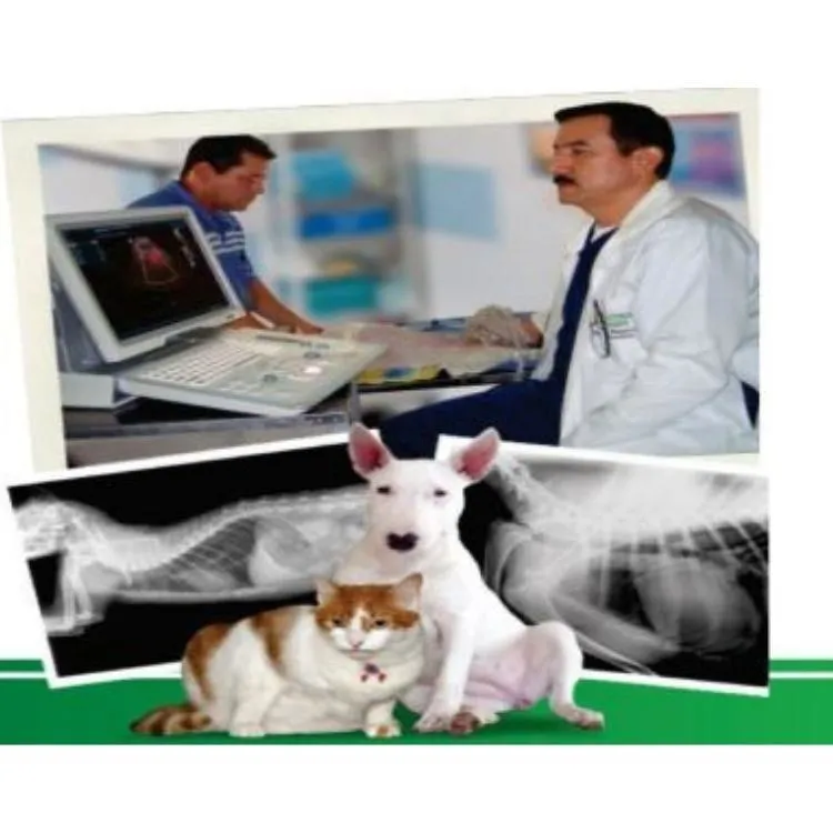 La imagen 3 de la Empresa CLÍNICA VETERINARIA DE OCCIDENTE