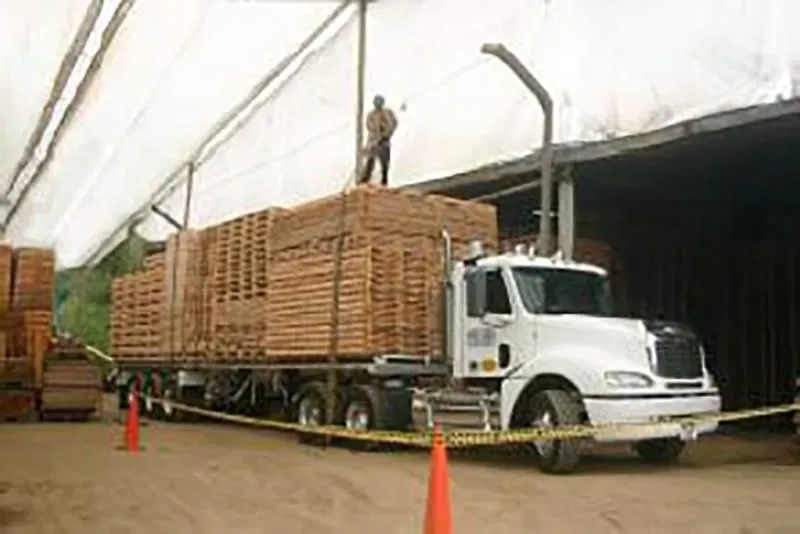 La imagen 1 de la Empresa MADERAS RENOVABLES S.A.S.