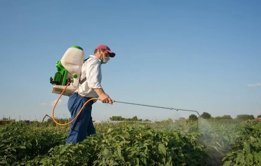 La imagen 3 de la Empresa ERRADICAR FUMIGACIONES PROFESIONALES