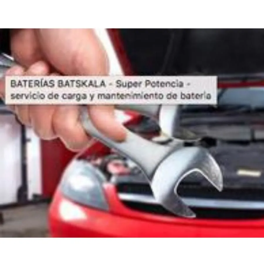La imagen 5 de la Empresa BATERIAS BATSKALA