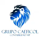 GRUPO CAEFICOL Servicio de contabilidad en Bogotá, D.c. DC