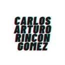 CARLOS ARTURO RINCON GOMEZ Consultor en gestión empresarial en Bogotá, D.c. DC