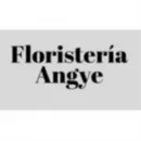FLORISTERÍA ANGYE Mayorista para floristerías en Yumbo VAC