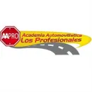 ACADEMIA AUTOMOVILÍSTICA LOS PROFESIONALES Piezas y accesorios de automóviles en Manizales CAL