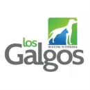 CLÍNICA Y CENTRO VETERINARIO LOS GALGOS Veterinario en Manizales CAL
