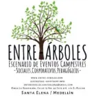 ENTRE-ARBOLES